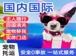 乌鲁木齐机场快递国际宠物托运 【国